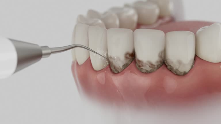 Reliable Dental contractor in Dunn Loring, VA by Dentist Open Now